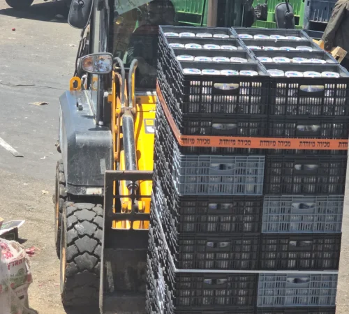 יד עזרא ושולמית (1)