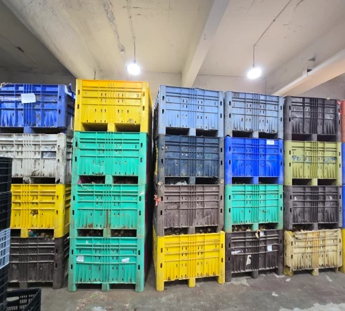 יד עזרא ושולמית (2)